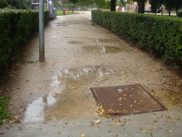 DSC01817