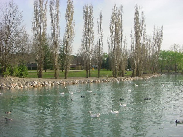 LAGO_EL_SOTO_1