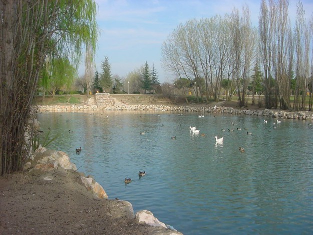 lago